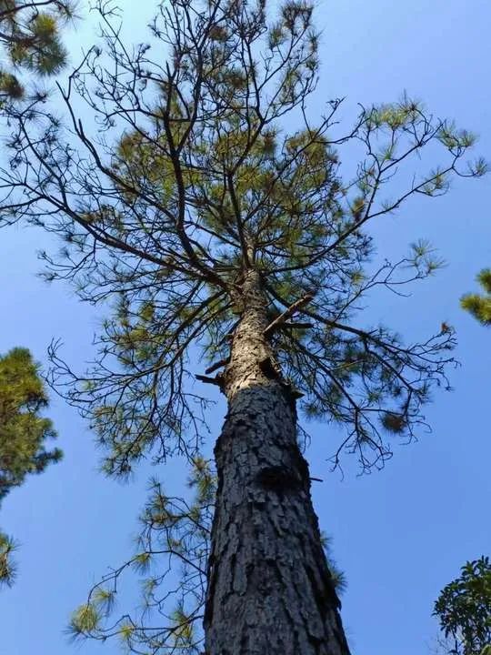 笑着看淡生活_笑着看淡一切成语_笑着看待生活