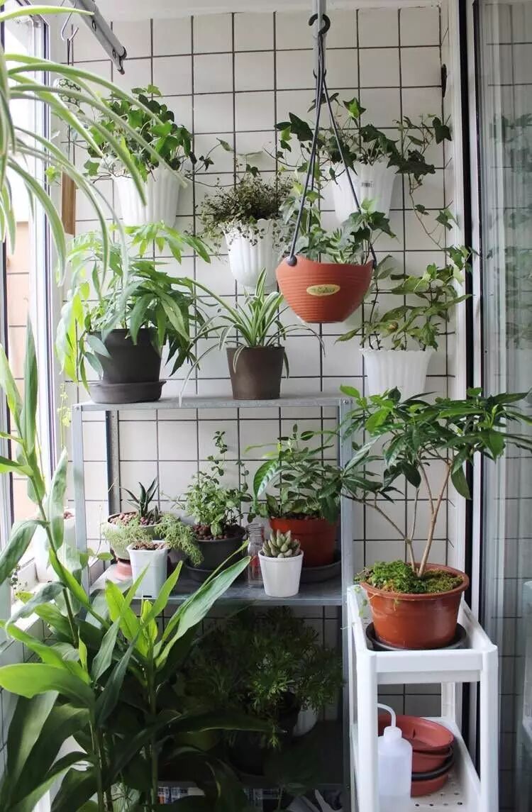 阳台种花种草,这样弄就成花园了!