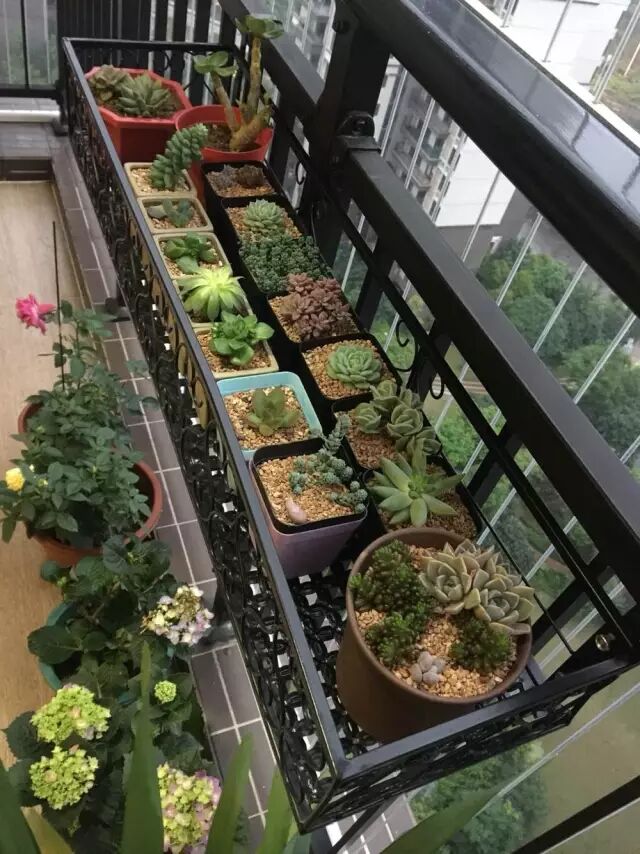 阳台种花种草,这样弄就成花园了!