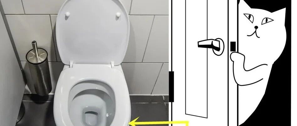 卫生间太小，马桶顶住门了？试试折叠门，省空间又实用！