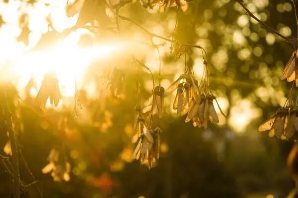 阳气不足的人，与阳气充足的人相比，有什么区别？怎样补充阳气？