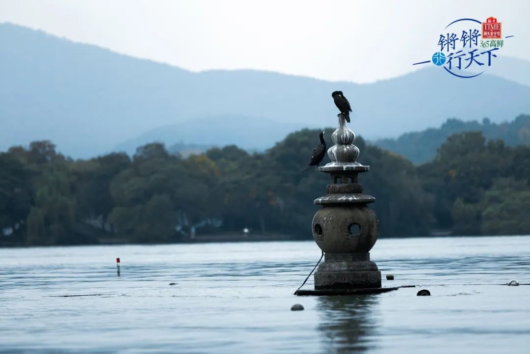 昆明滇行季国际旅行社_锵锵行天下第3季_鸽行天下2015拍卖季