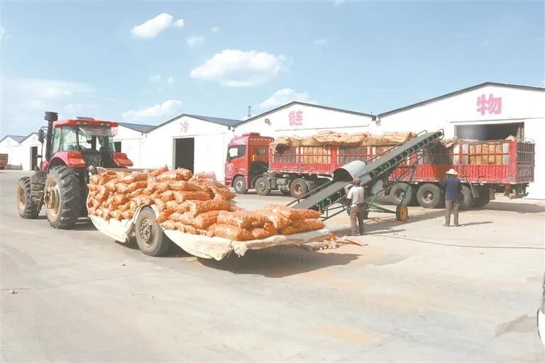 晶元集團：“飛地經濟”模式打造鄉村振興新引擎
