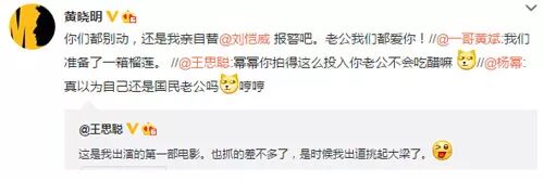 王思聪公开向杨幂示好 履行离婚就娶的诺言（组图） - 14