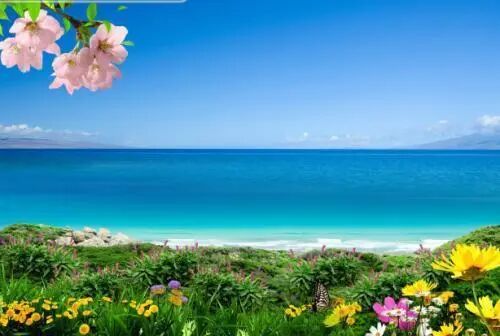 阳光普照，给患者和密切接触者关爱(图5)