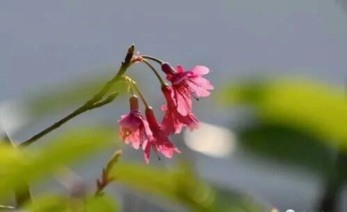 阳光普照，给患者和密切接触者关爱(图2)