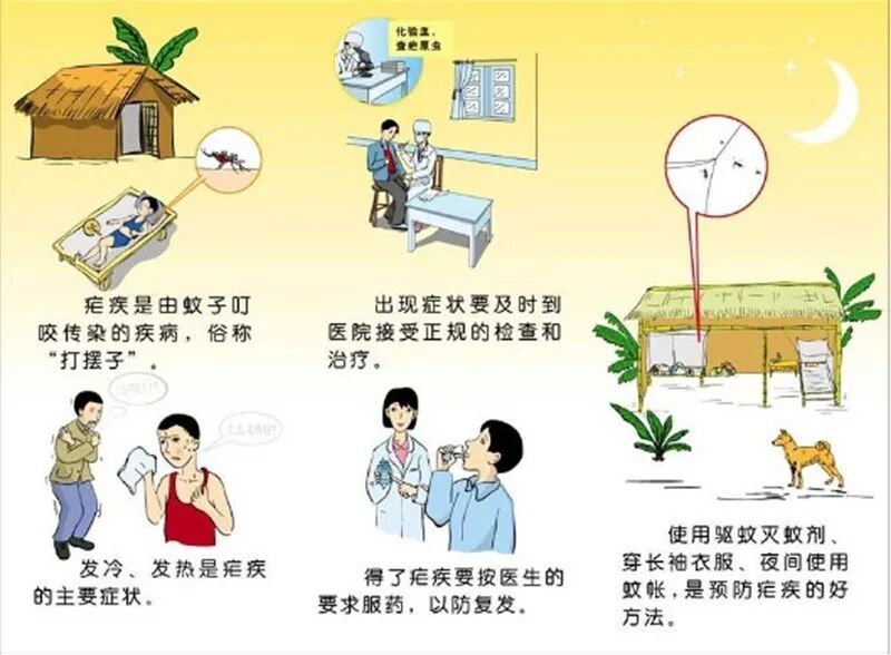 【健康知识】消除疟疾控新冠，同防输入再传播(图3)