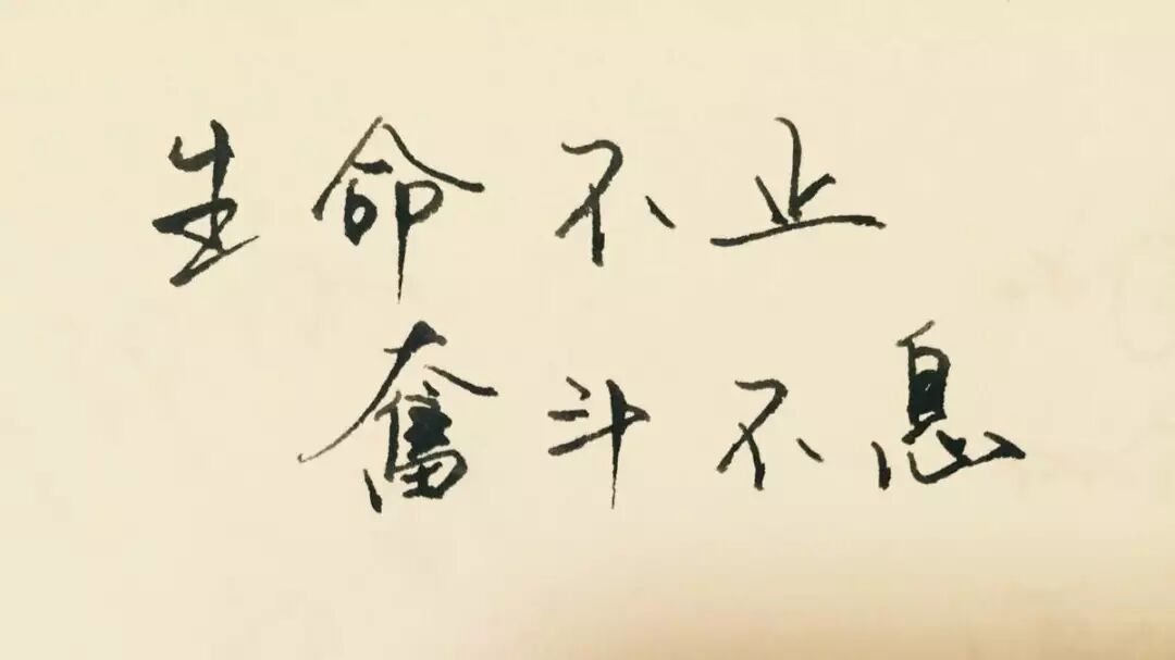 只要努力，一切都会充满希望(图1)