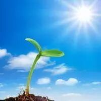 只要努力，一切都会充满希望(图5)