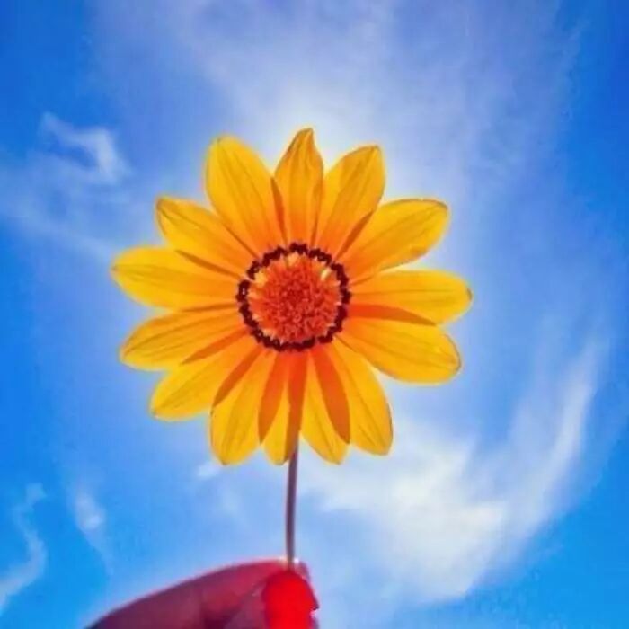 只要努力，一切都会充满希望(图6)