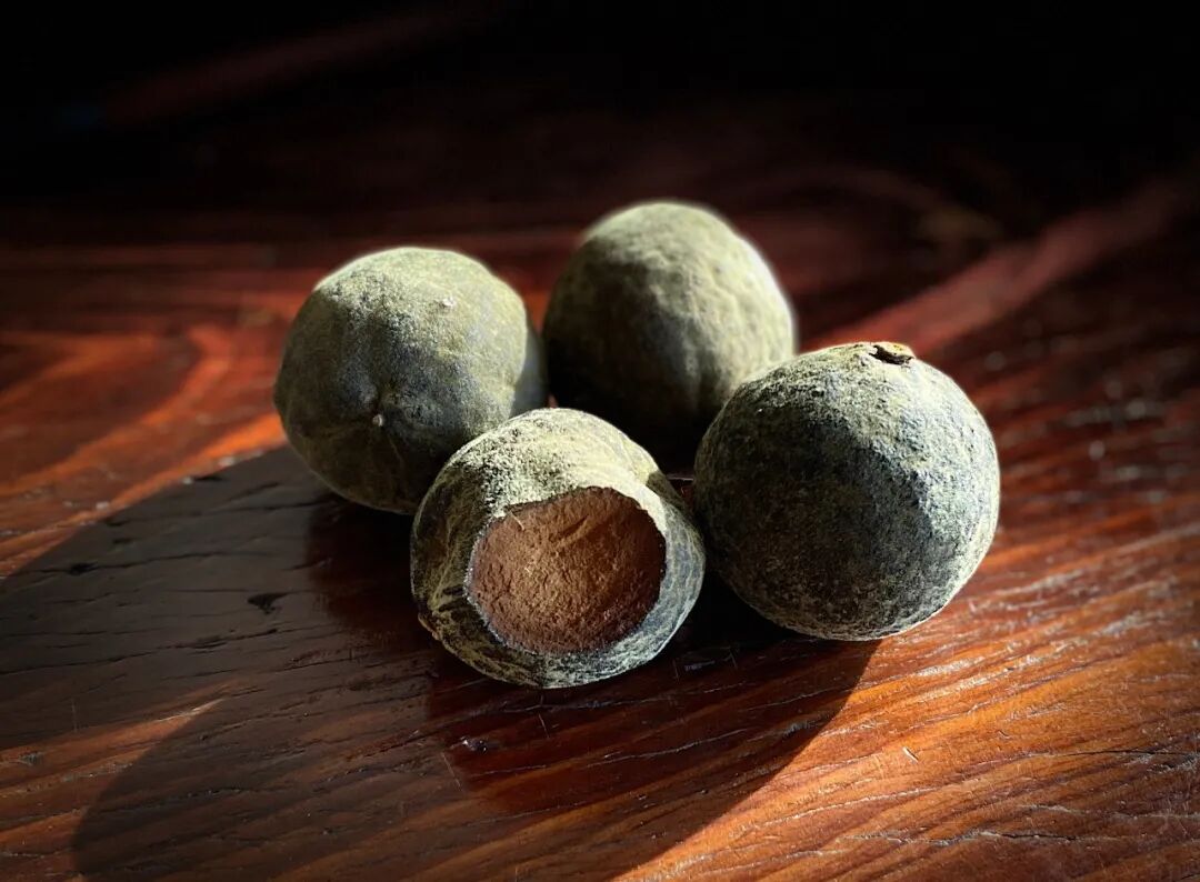 【茶饮】化橘红的药理研究