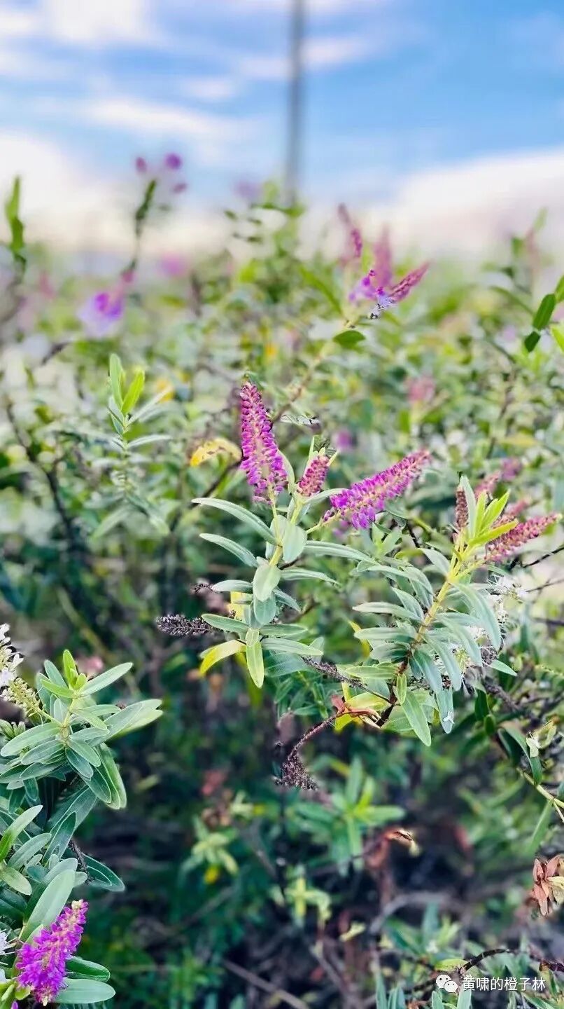 我最会过的，就是一个人的日子