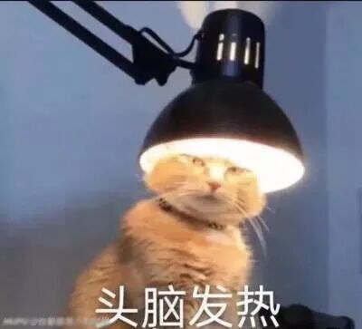 風水如何區分性別