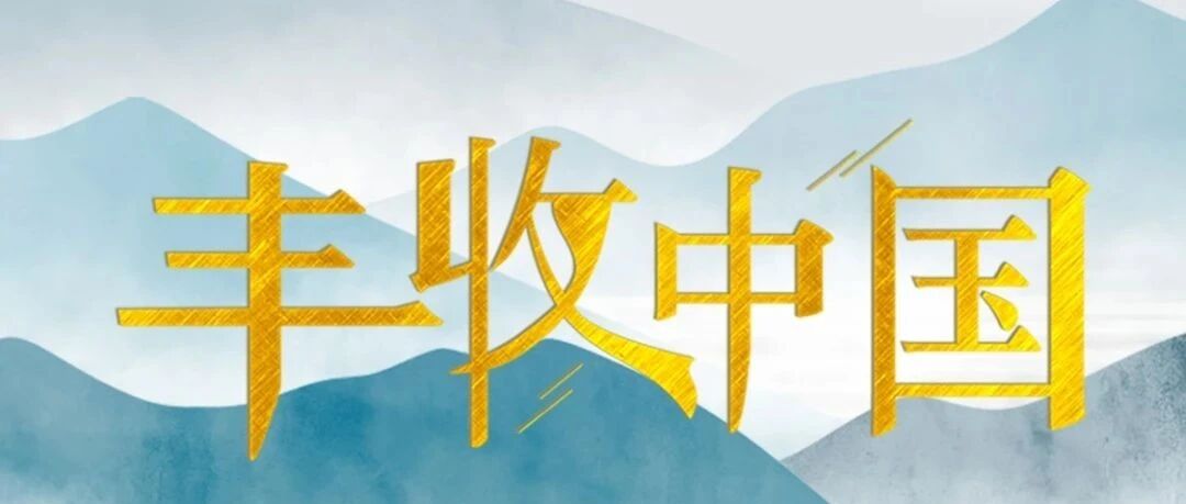 丰收季，鱼满舱，告诉你千岛湖鱼的多样吃法！