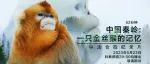 以共鸣策略讲好中国生态文明故事