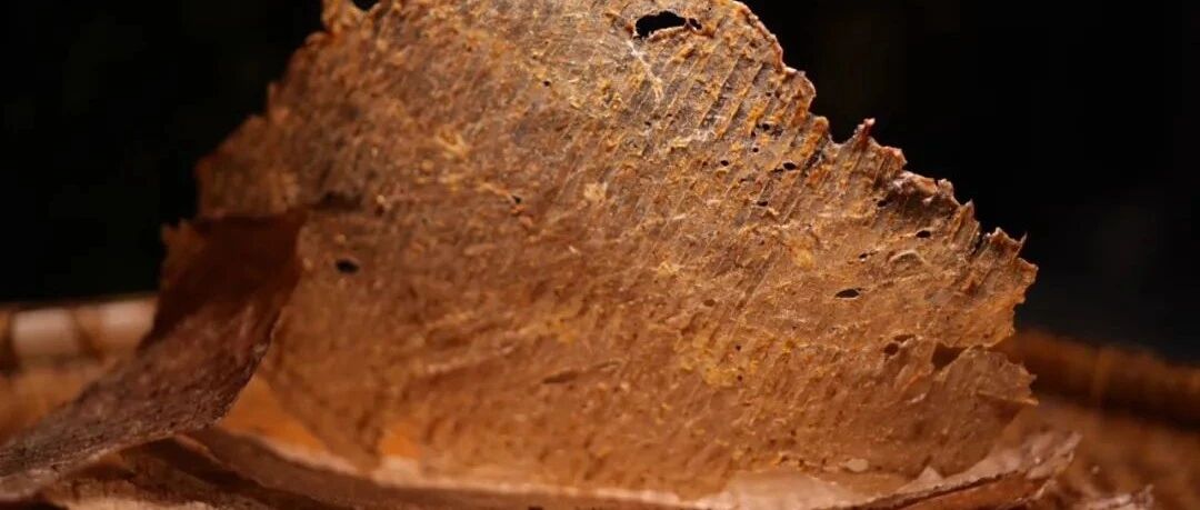 达州人的年味记忆，竟然是薄可透光的它！