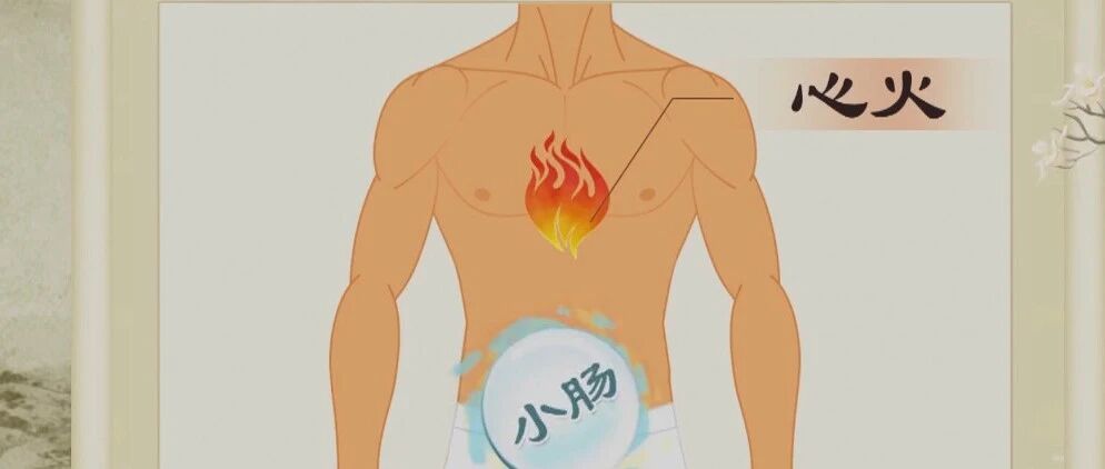 总是尿黄到底是哪里上了火？中医专家带您学习关于尿液的知识