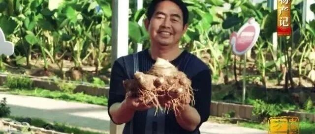 中国影像方志| 铅山：鹅湖书院文脉相传河口古镇留住乡愁 河红茶香连四纸绵密细腻红芽芋软糯