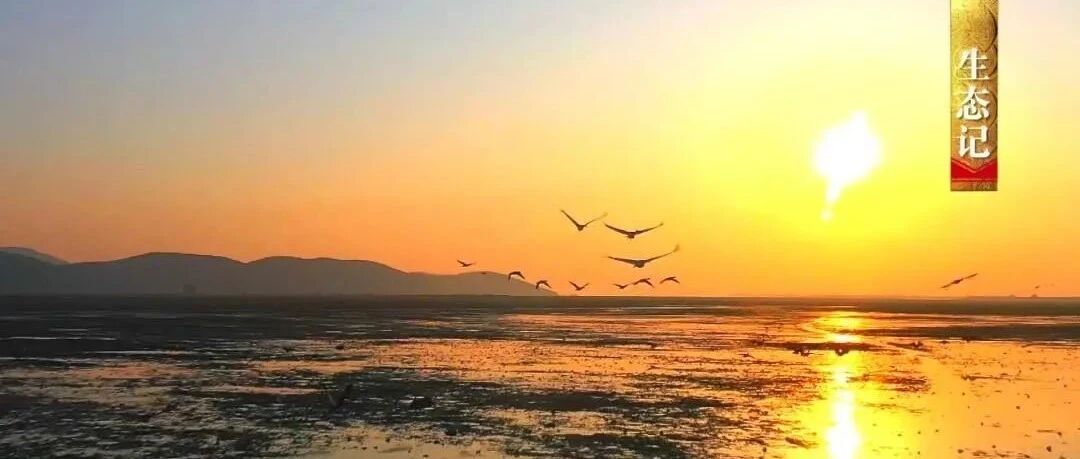 中国影像方志| 东至：红色记忆激励后人升金湖候鸟栖息 家风家训传承南溪古寨凝聚乡愁