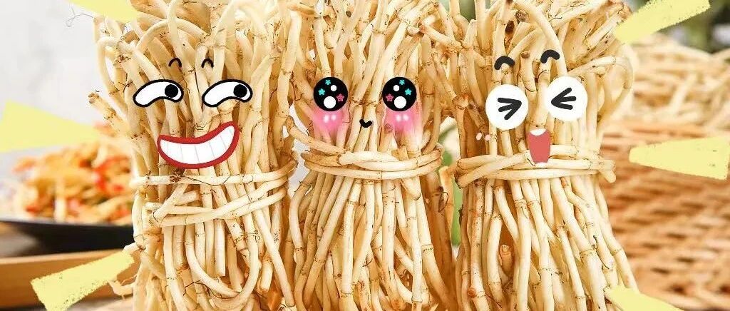 春天的味道|当鱼腥草遇上真正的“鱼腥”是啥滋味？