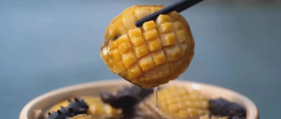 鲍鱼、猪蹄、鸭胗、猪肚、海参、鸭肉，多种豪橫食材乱炖是何种滋味？看了就知道