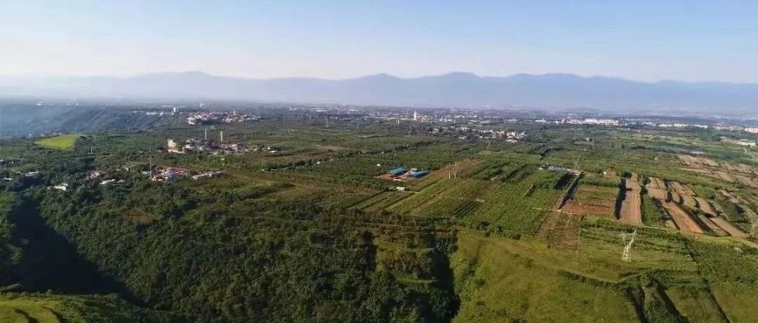 探秘真假大墓️→汉文帝陵不在凤凰嘴 这一错竟已近千年！