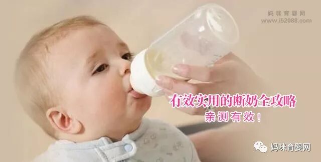 断奶小窍门