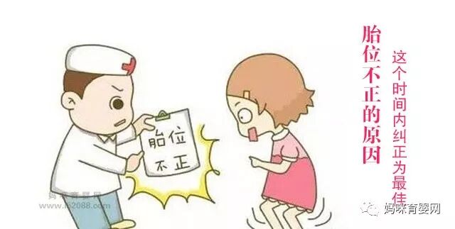 胎位不正的原因 这个时间内纠正为最佳