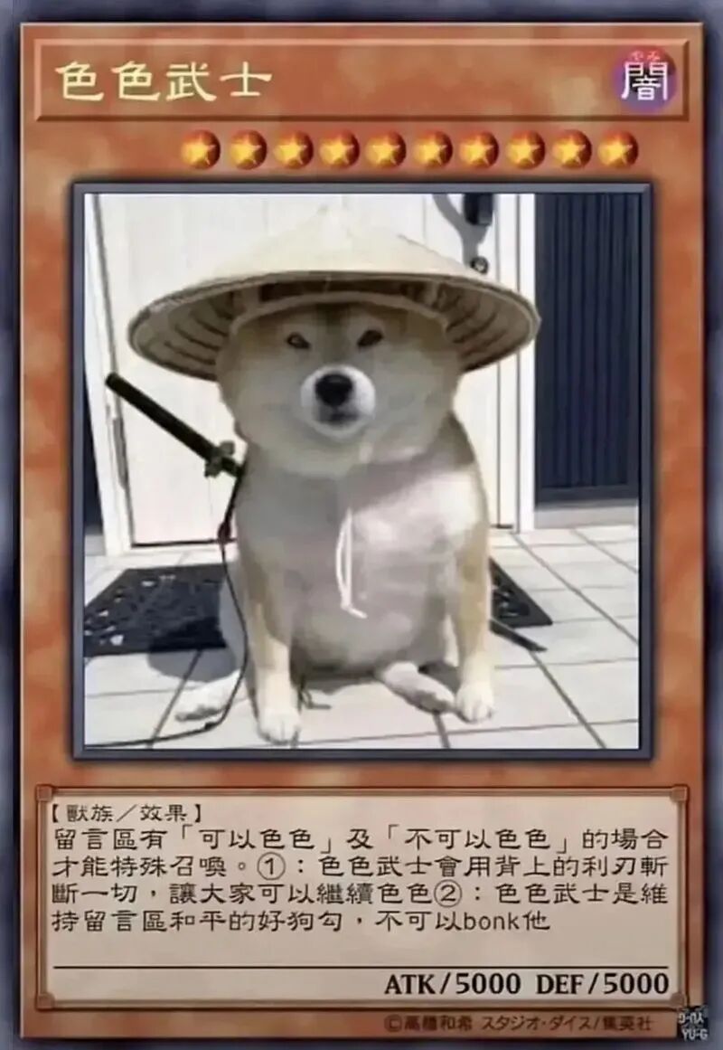 不可以色色表情包 狗狗卡牌表情包 中國熱點