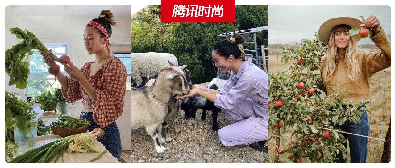 开工焦虑症？看一眼各国“李子柒”能得到缓解