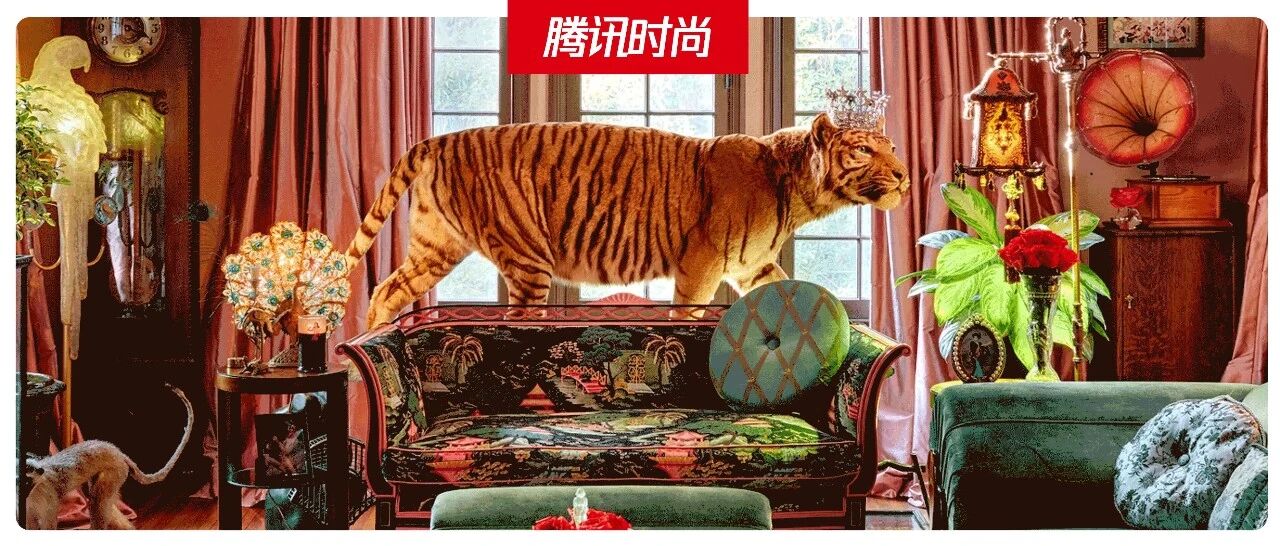 “姐姐”们的家也需要“乘风破浪”