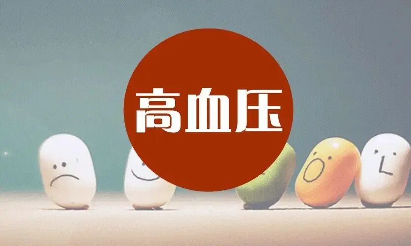 动态血压监测仪怎么看动态血压仪——小身材 大作用，精准监测 稳控血压_https://www.jmylbn.com_新闻资讯_第14张