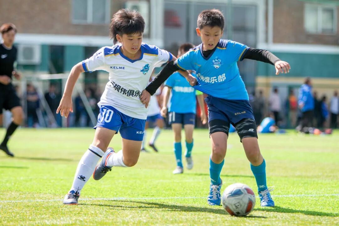 摄影：杨铁钢、董书博