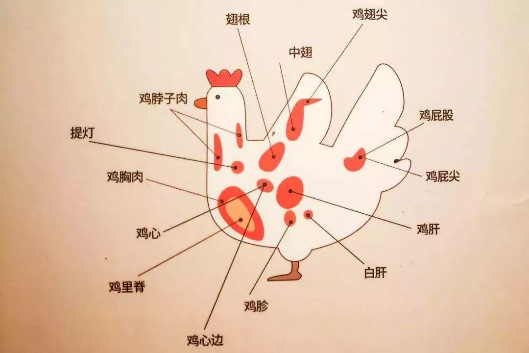 日本人对 鸟 的追求是多么令人发指 醉鹅娘 微信公众号文章阅读 Wemp