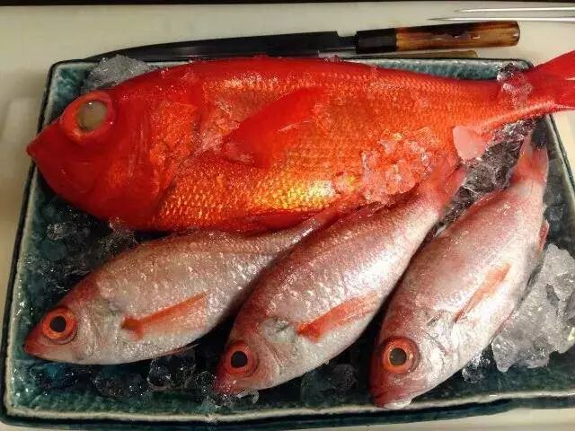中产阶级海鲜食用指南 日料刺身都有哪些鱼 下 自由微信 Freewechat