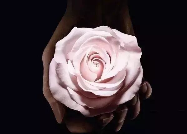 为什么私处需要养护，给你十个理由！