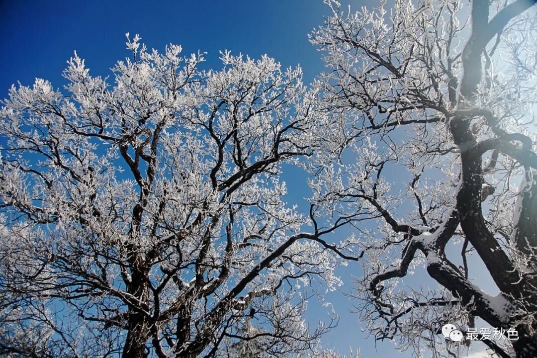 20201205太平峪万花山橡山寺云海仙境