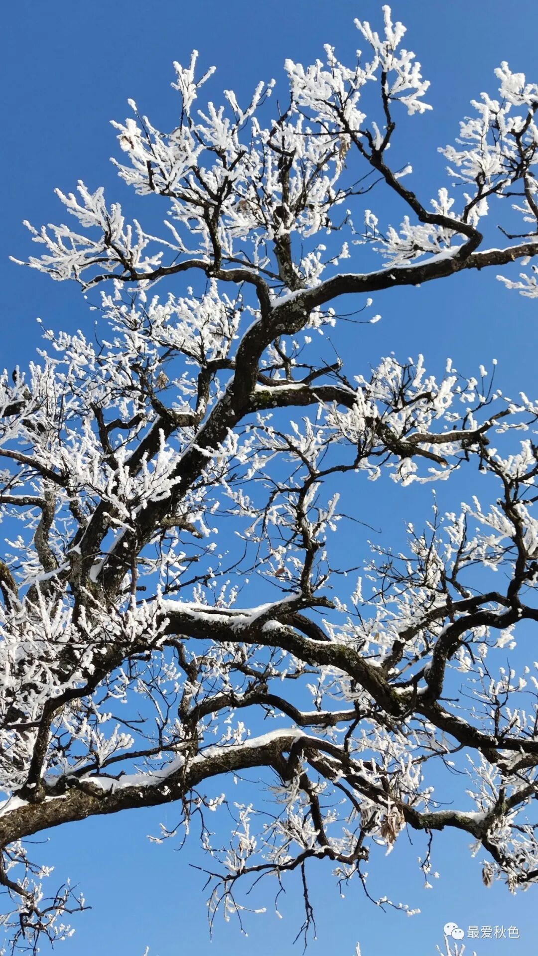 20201205太平峪万花山橡山寺云海仙境