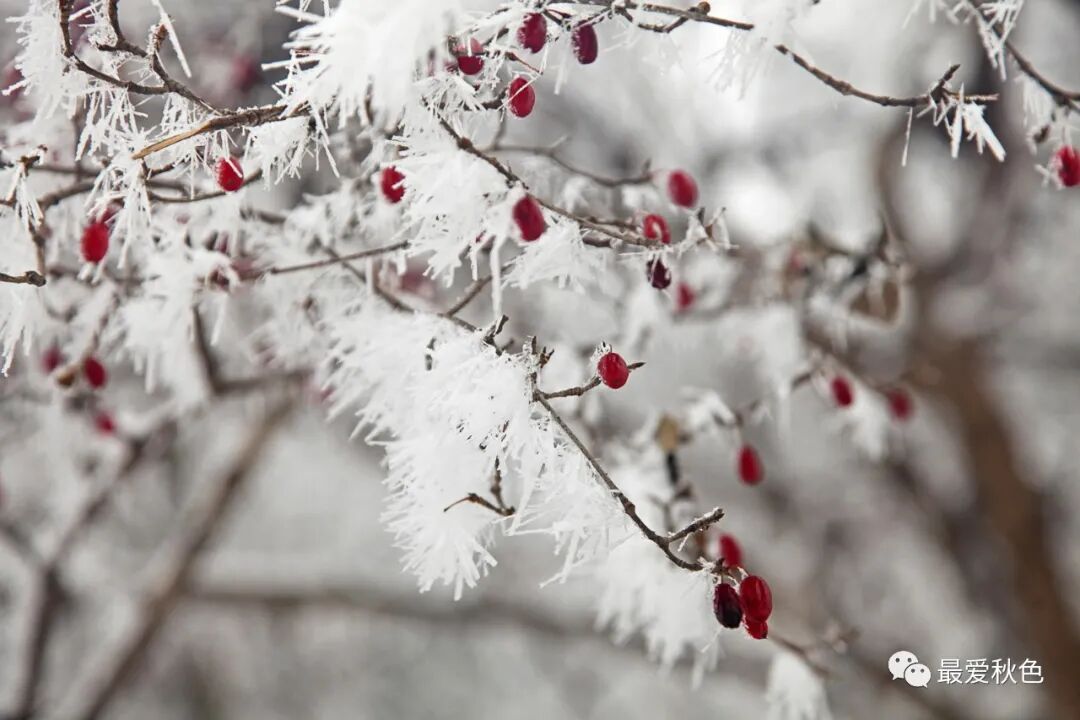 20201205太平峪万花山橡山寺云海仙境