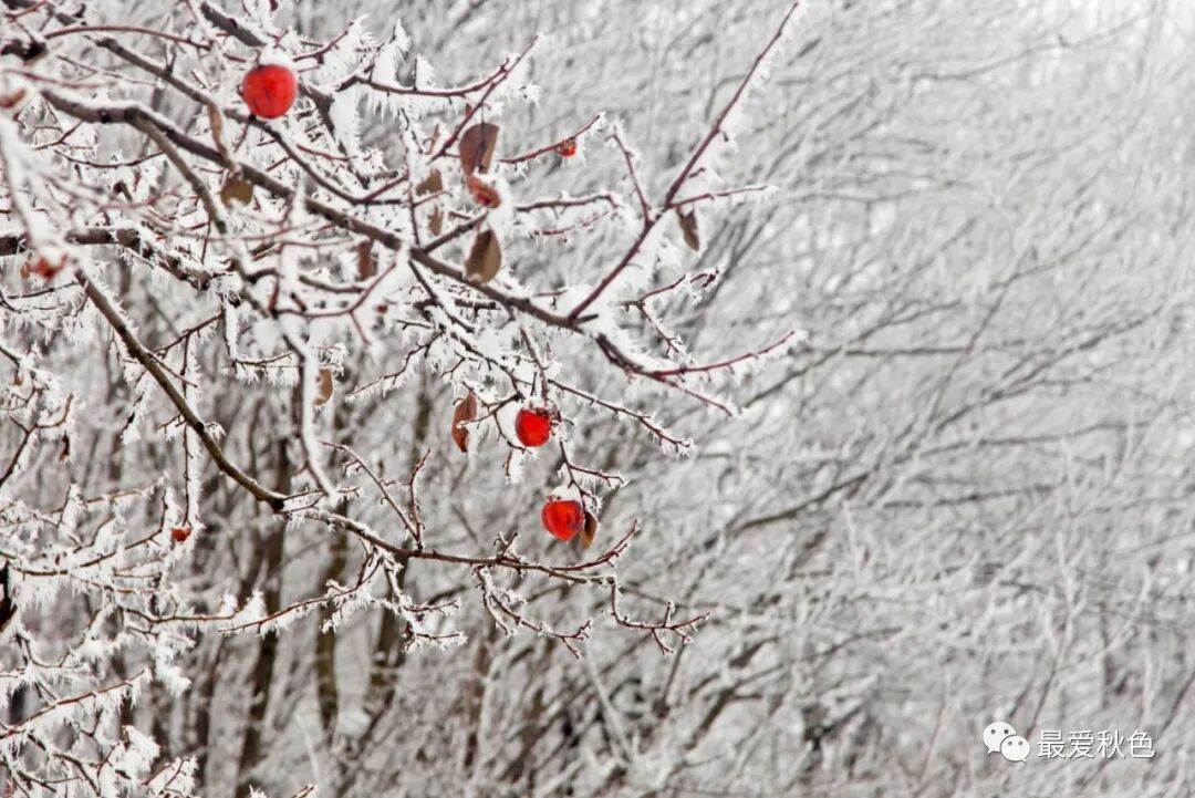20201205太平峪万花山橡山寺云海仙境