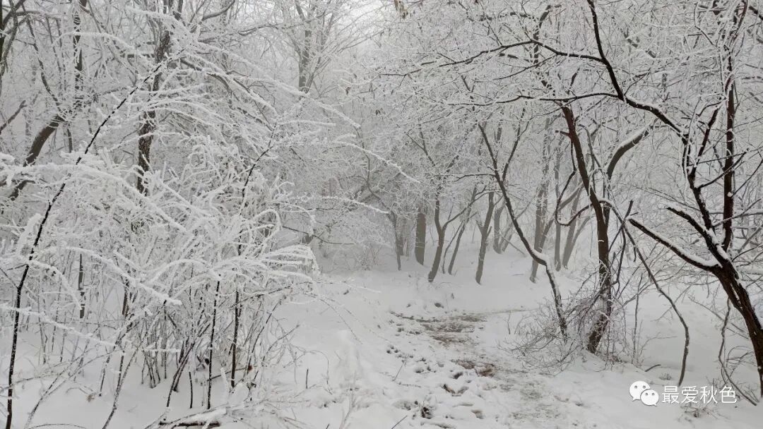 20201205太平峪万花山橡山寺云海仙境