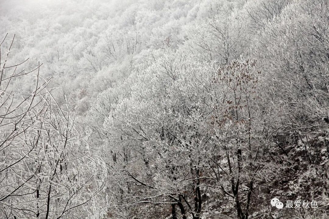 20201205太平峪万花山橡山寺云海仙境