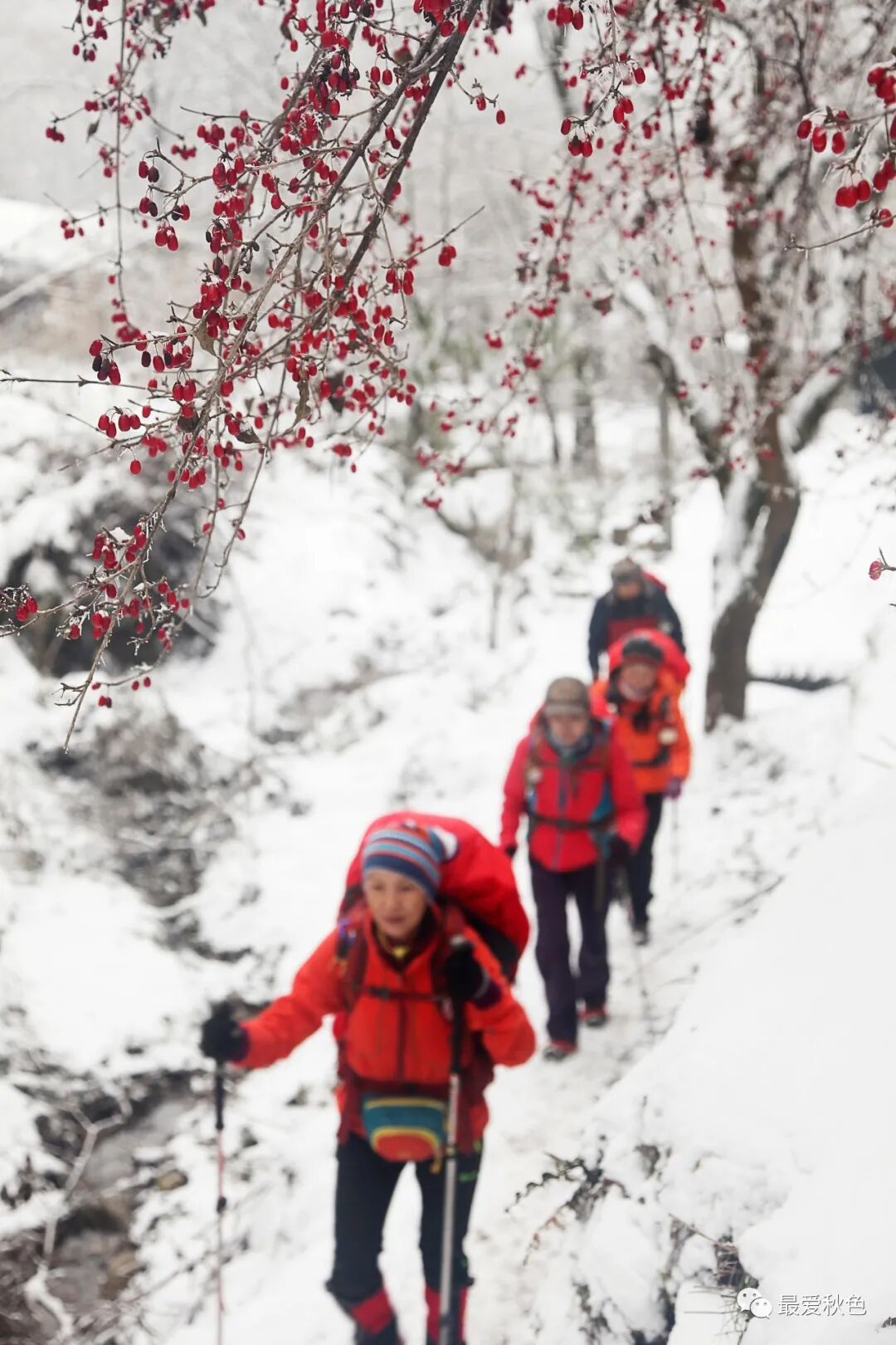 20201205太平峪万花山橡山寺云海仙境