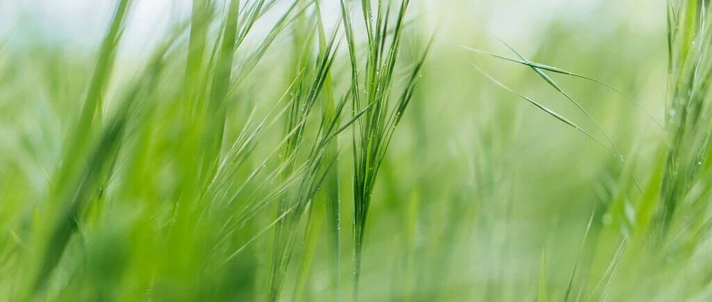 注意！一省发布22年医师资格考试安排，网报、审核流程有变！