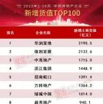 2022年1-10月中国房地产企业新增货值TOP100排行榜