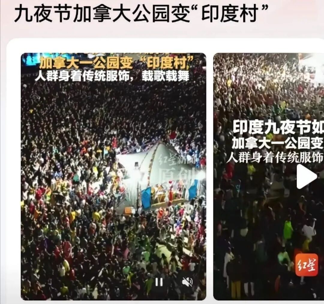 多伦多公园几乎全是印度人,加拿大快被印度人“占领”了！