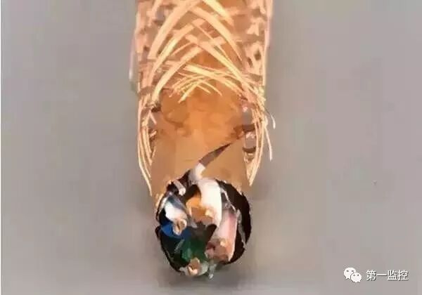 双屏蔽双绞电缆型号_六类非屏蔽双绞线_双绞线缆是不是网线