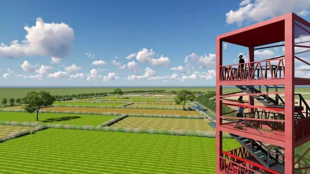 总投2.4亿！广州这座网红小岛也要拆迁