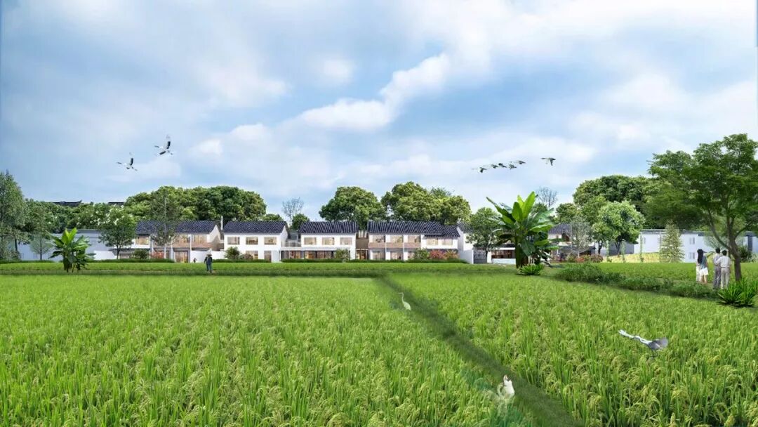 总投2.4亿！广州这座网红小岛也要拆迁