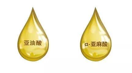不饱和脂肪酸>>